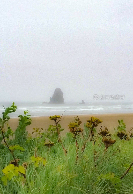 Cannon海滩，俄勒冈海滩全景-干草堆岩石