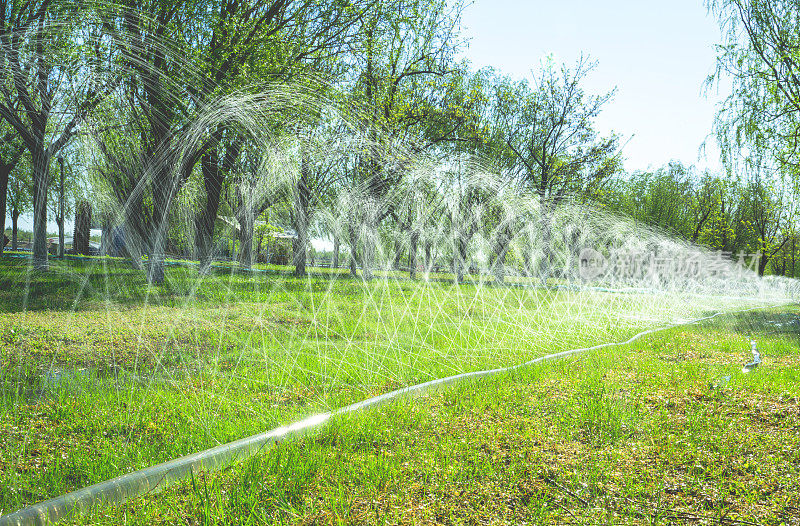 春天用洒水系统浇灌草地和树木