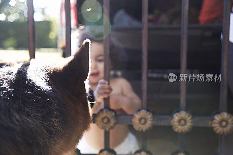 一个婴儿和一只德国牧羊犬Ca