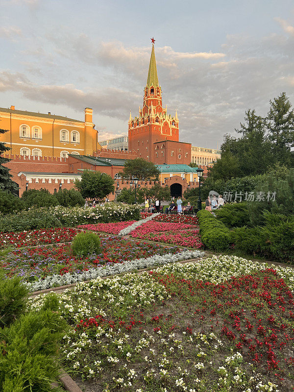 亚历山大花园的花坛，莫斯科，俄罗斯