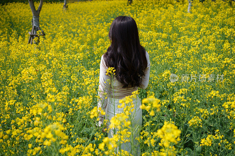 女人回到了花海