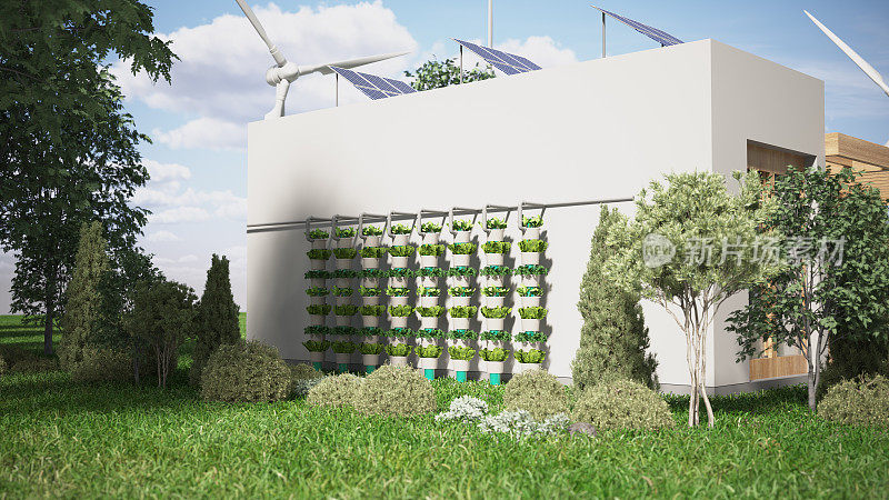 在郁郁葱葱的花园中，有太阳能电池板和绿色屋顶的现代环保房屋附近的垂直农业花盆