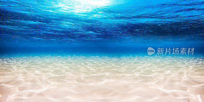 水下蓝色海洋沙背景