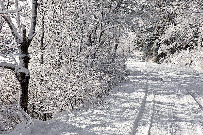 新雪中的乡村路