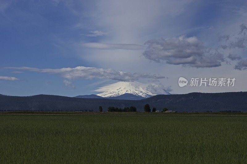 太沙士达山草