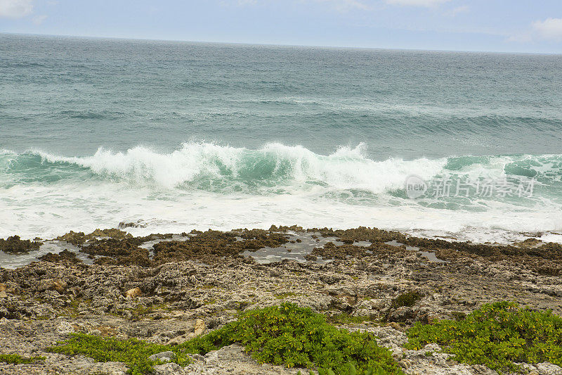 海浪冲刷着开曼群岛的岩石珊瑚海岸