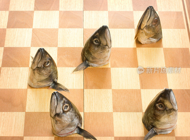 鱼国际象棋