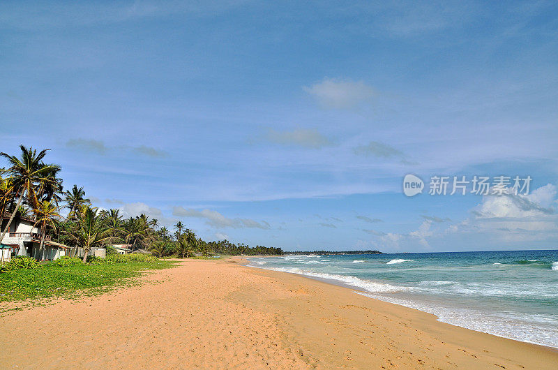 美丽的异国海滩，海浪和棕榈树在夏天