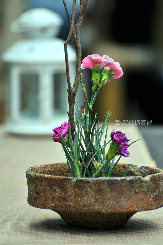 花瓶里的粉红色小花
