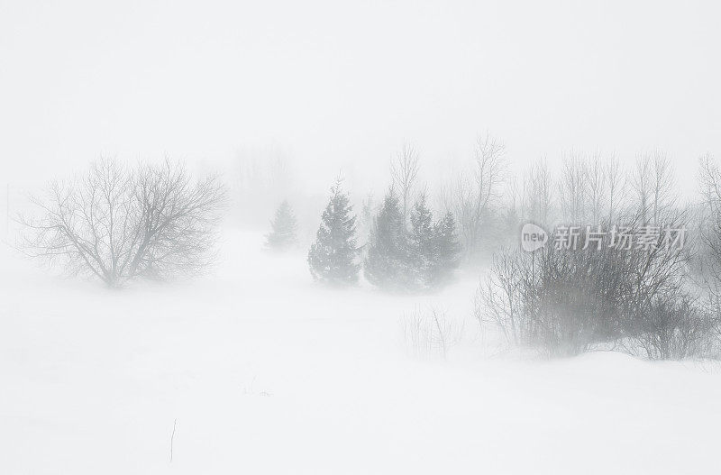 暴雪。