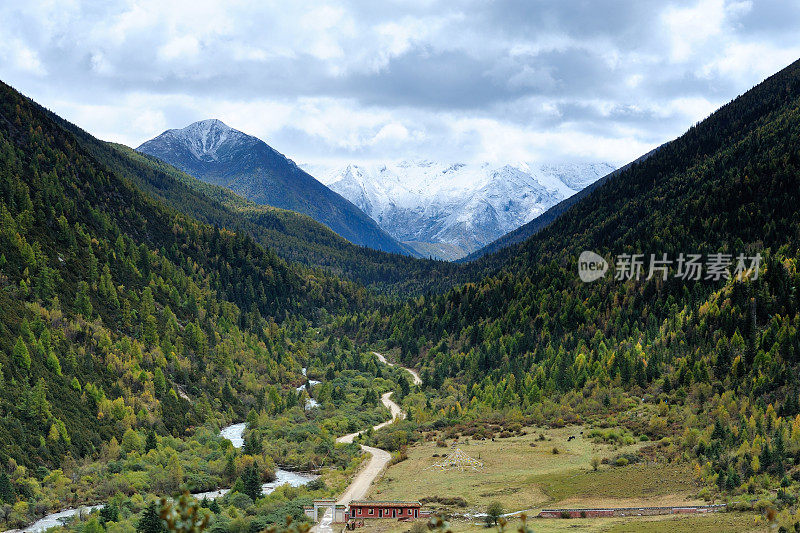 高原的雪山和森林