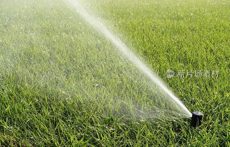 草坪维护——用洒水系统浇灌草坪