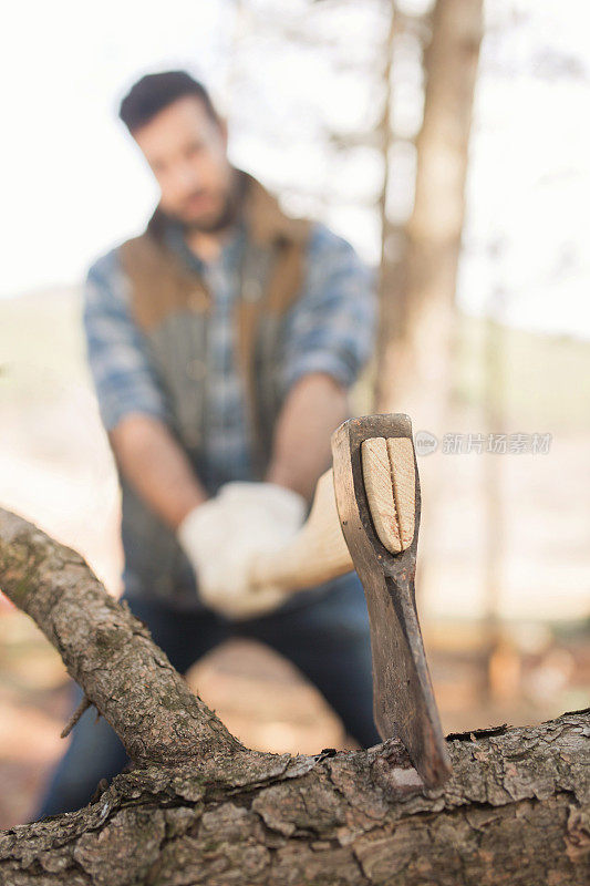 伐木——伐木工人的斧头卡在了一棵树上