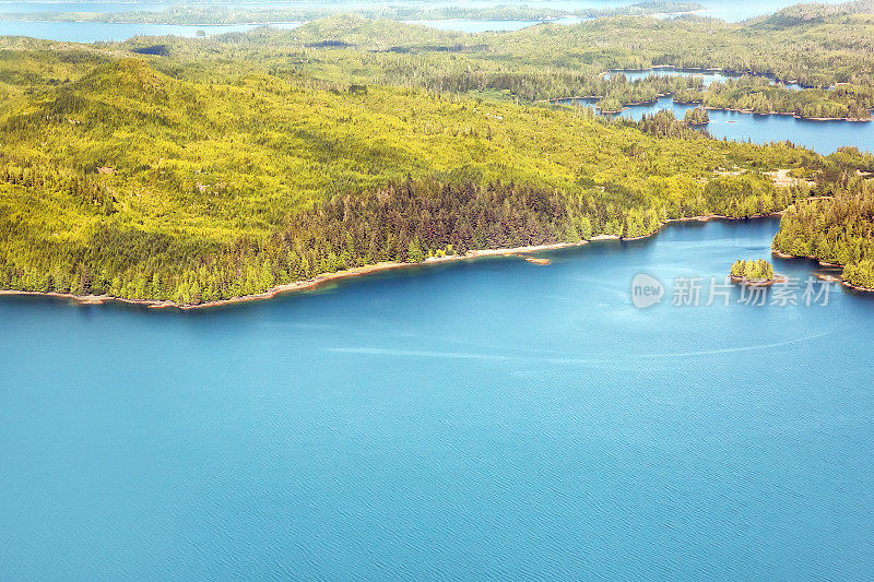 场景:阿拉斯加风景。绿树成荫的土地与蓝色的海水相遇