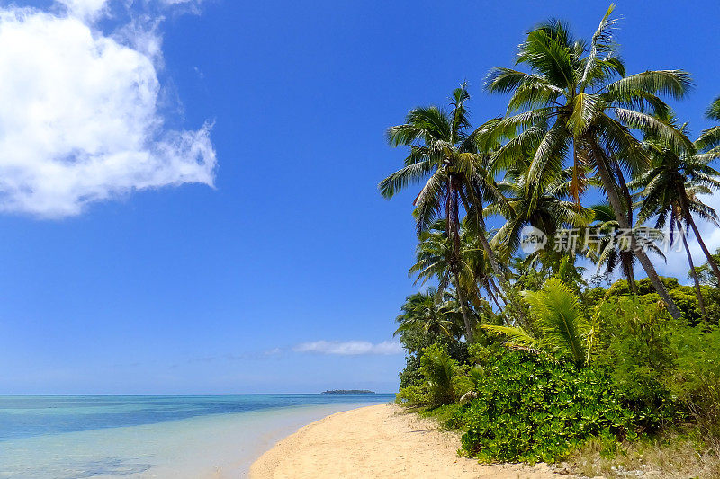 汤加汤加塔普岛附近的潘盖莫图岛沙滩