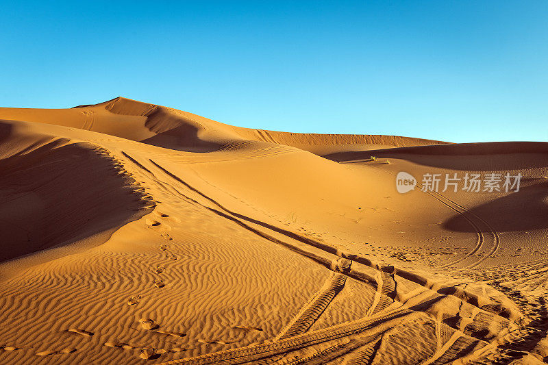 撒哈拉沙漠，摩洛哥，北非的轮胎痕迹