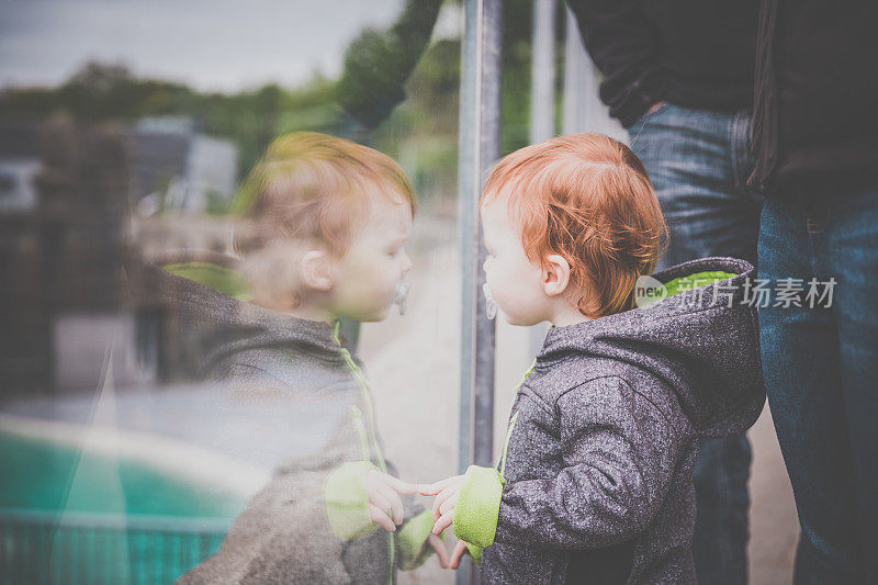 可爱的小男孩透过玻璃看动物园或水族馆
