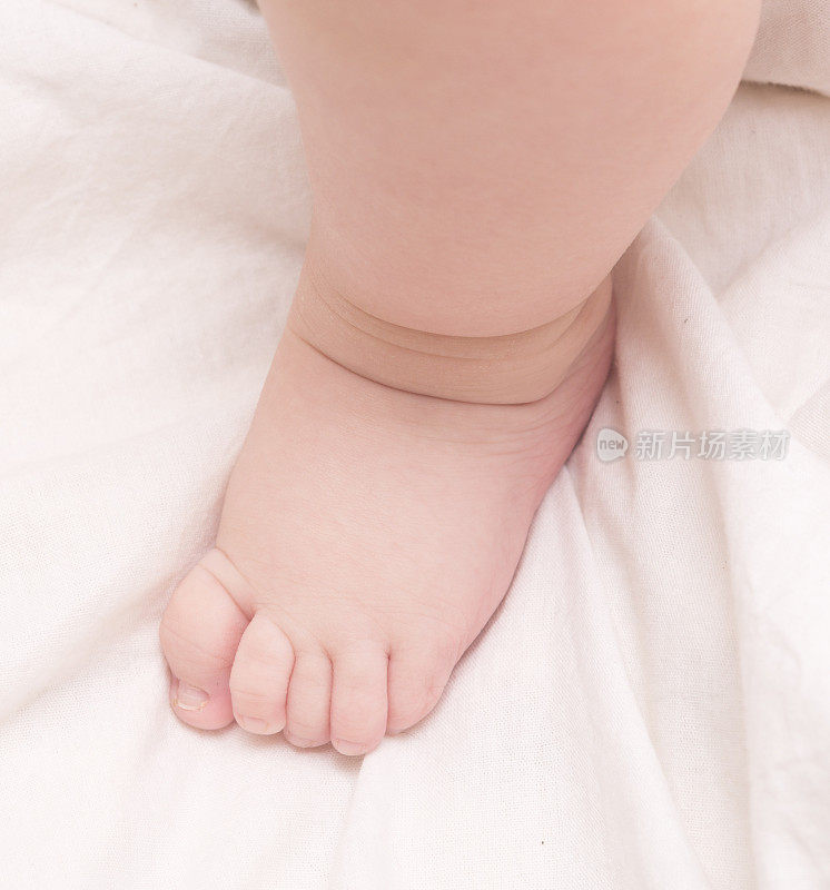 宝宝的腿
