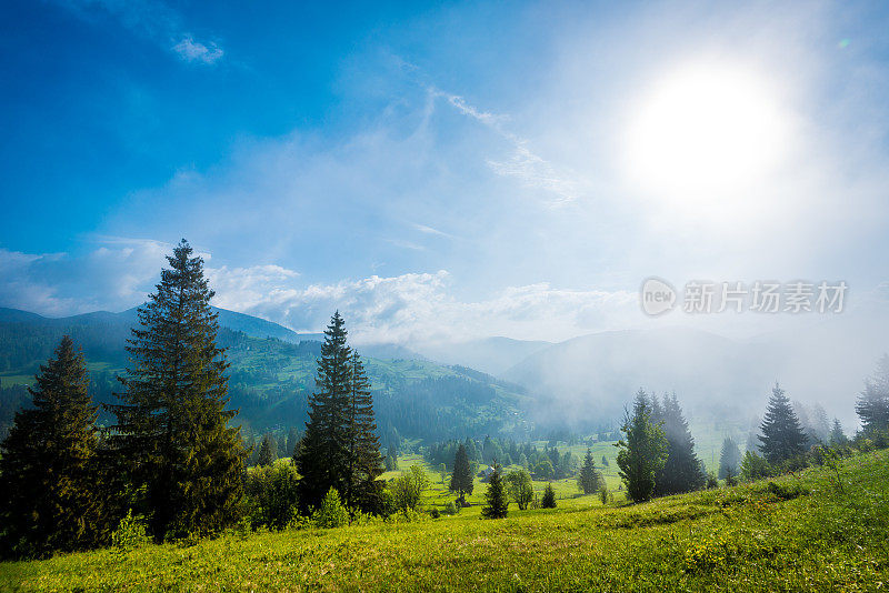 多雾的早晨的太阳