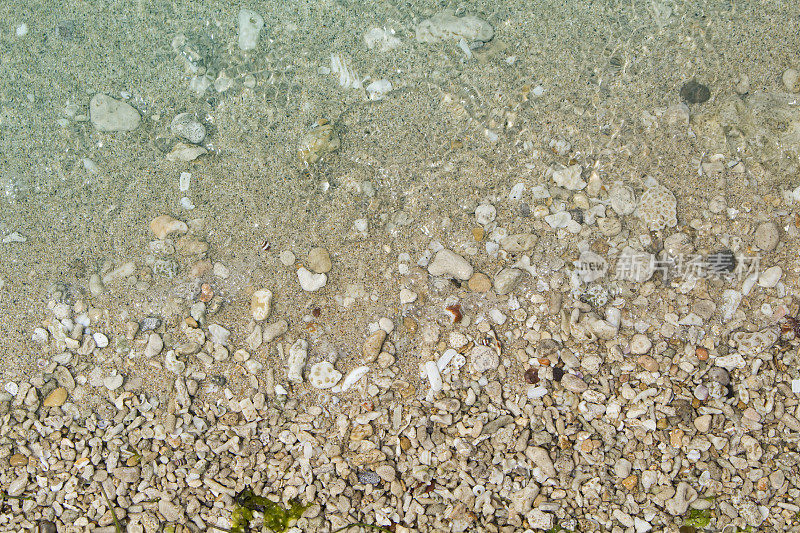 海边的沙滩有黄色的沙子和白色的珊瑚和贝壳。
