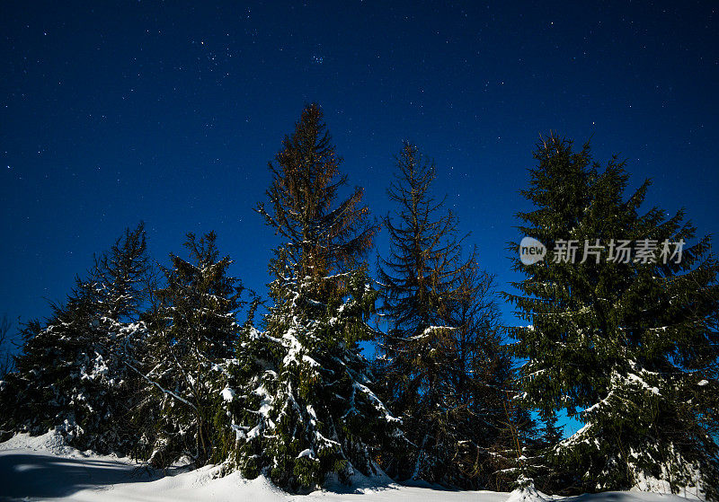 雪山里的夜星