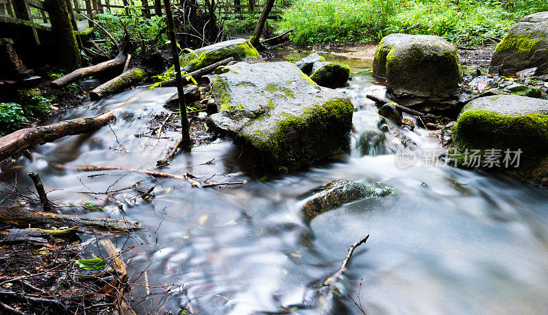森林河中长满苔藓的岩石