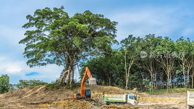 砍伐雨林的挖掘机和卡车