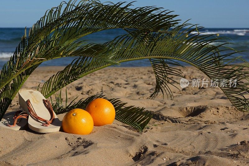 在海边的沙滩上用棕榈叶、橘子和沙滩拖鞋组成
