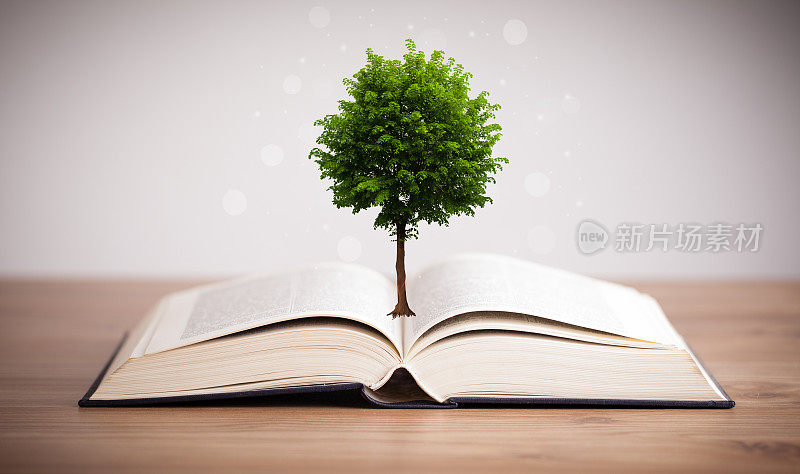 从一本打开的书中生长出来的树