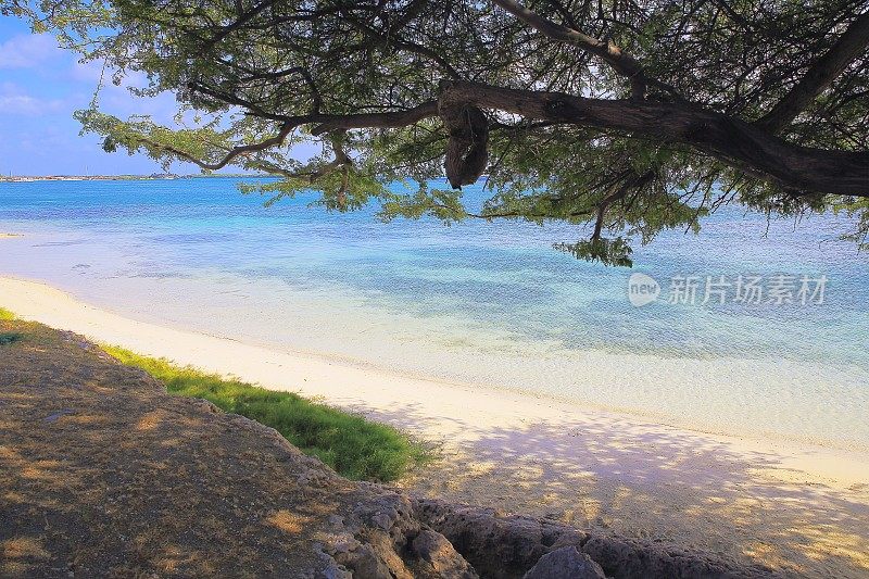 绿松石自然游泳池，海滩与热带树荫-加勒比海