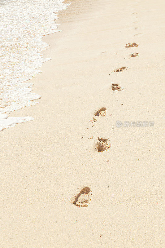 在阳光明媚的日子里，沙滩附近的沙滩上有人类的脚印，垂直构成
