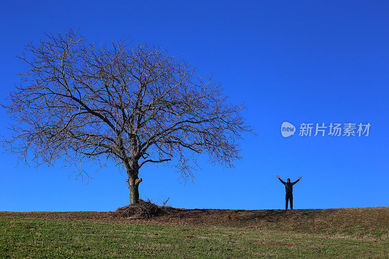 在美丽、阳光明媚的秋日，成年男子伸开双臂站在草地上的一棵大的光秃秃的树旁