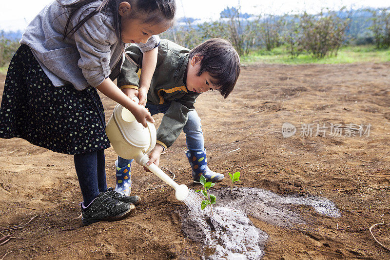 一个漂亮的女孩和一个可爱的男孩在农场浇水。