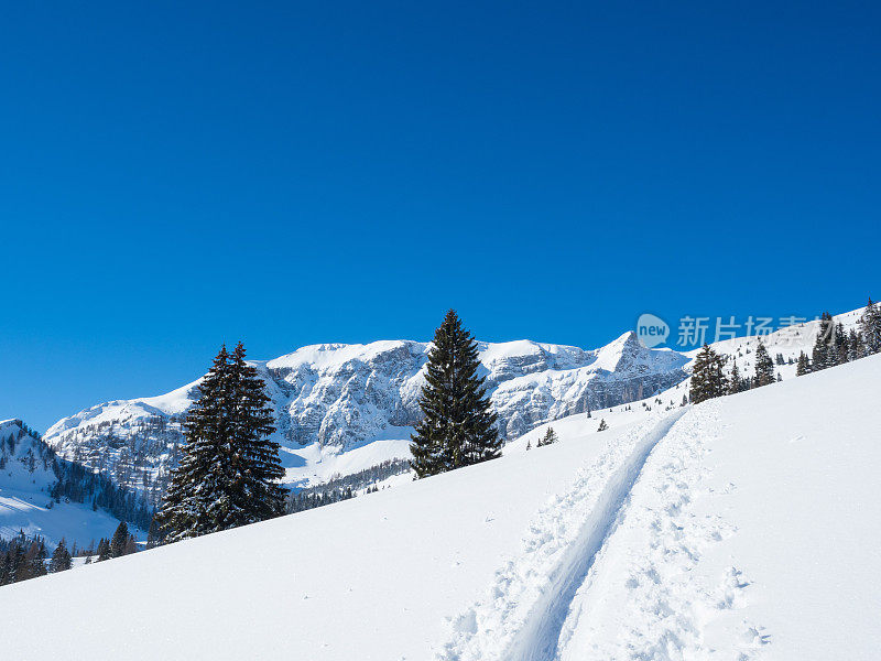 冬季山上的滑雪道