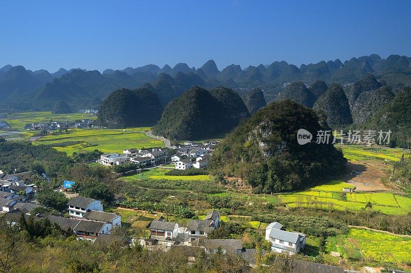 村和油菜花田在喀斯特山峰森林