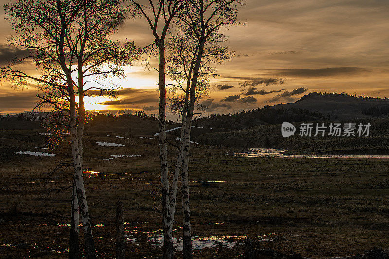 美国黄石国家公园拉马尔山谷的日落