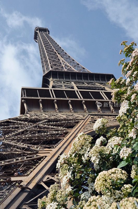 法国巴黎埃菲尔铁塔下的春花