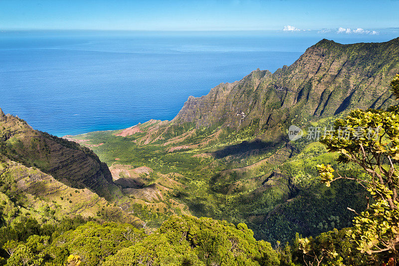 夏威夷考艾岛威美亚峡谷国家公园的卡拉劳观景台