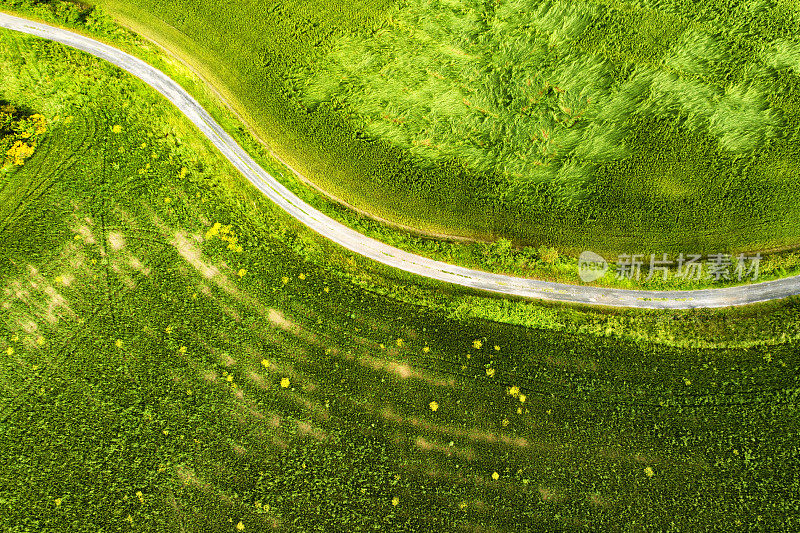 鸟瞰图的乡村道路基安蒂地区，托斯卡纳，意大利