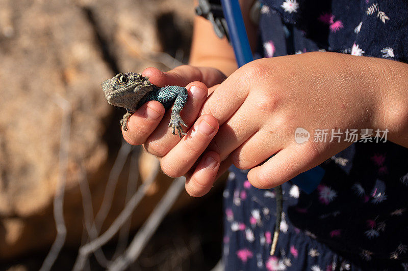 一个年轻人轻轻地抱着一只蜥蜴