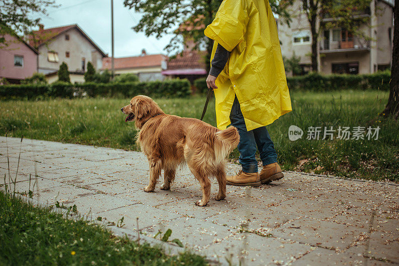 人和狗在公园里