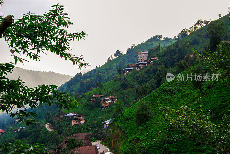 土耳其，黑海海岸，中东