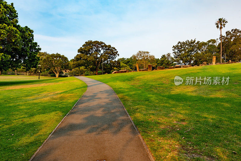 澳大利亚悉尼皇家植物园的一条小径。