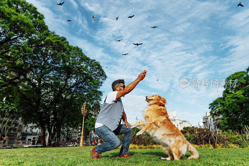 日落时分，成年男子带着金毛猎犬在公园散步