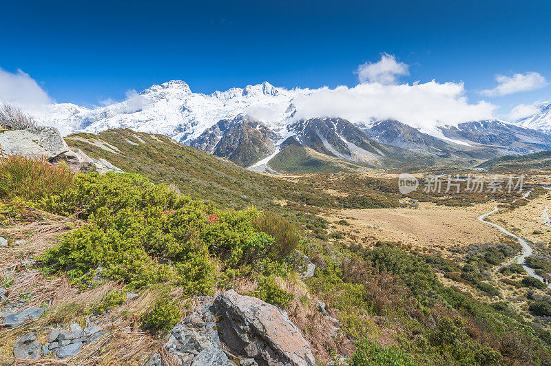 新西兰风景优美的库克山在夏季以新西兰南岛的自然景观为背景