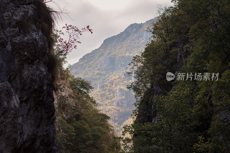 高山峡谷