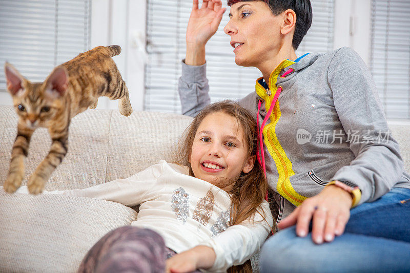 母亲和女儿一起放松在沙发上看德文雷克斯猫跳跃旁边-库存照片