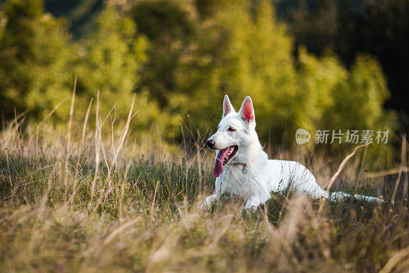 徒步旅行后休息