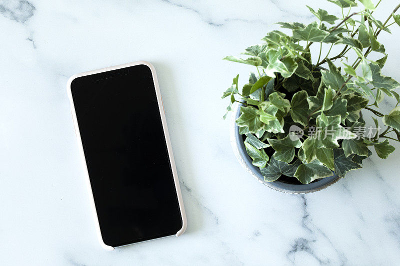手机用手机壳放在大理石桌子上，桌面上放着一盆植物