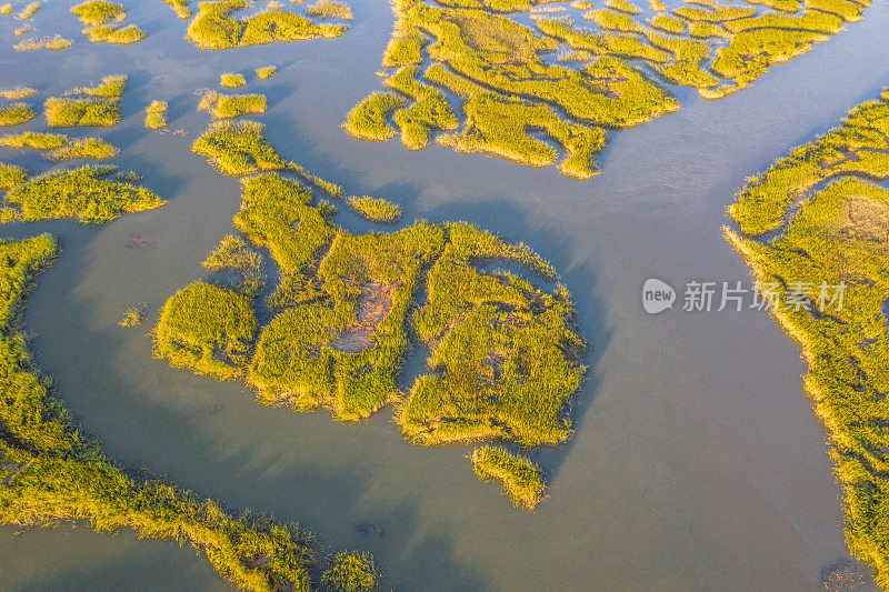 沼泽地的鸟瞰图